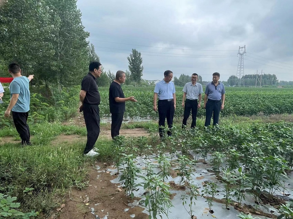 【庆七一·强党性】济宁市公共卫生医疗中心党委开展党建联建活动 【庆七一·强党性】济宁市公共卫生医疗中心党委开展党建联建活动